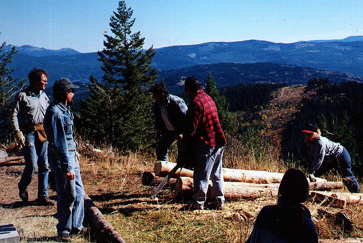 Cutting the Logs