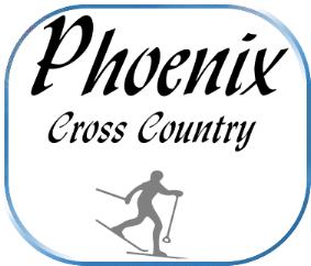 Phoenix badge
